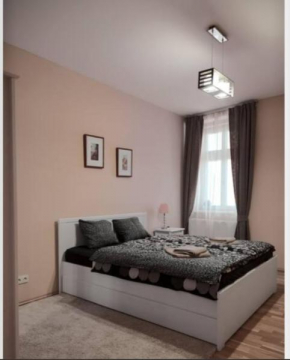 Apartment Vltavska A